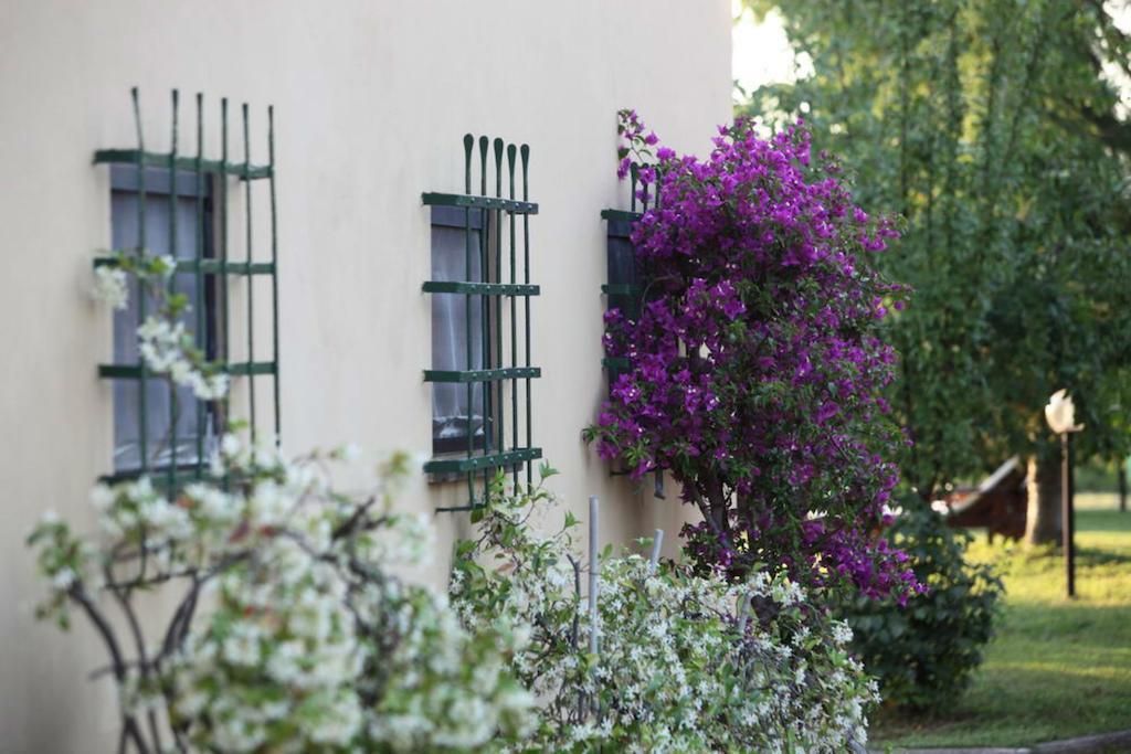 Agriturismo Le Pianore Монтеспертоли Екстериор снимка