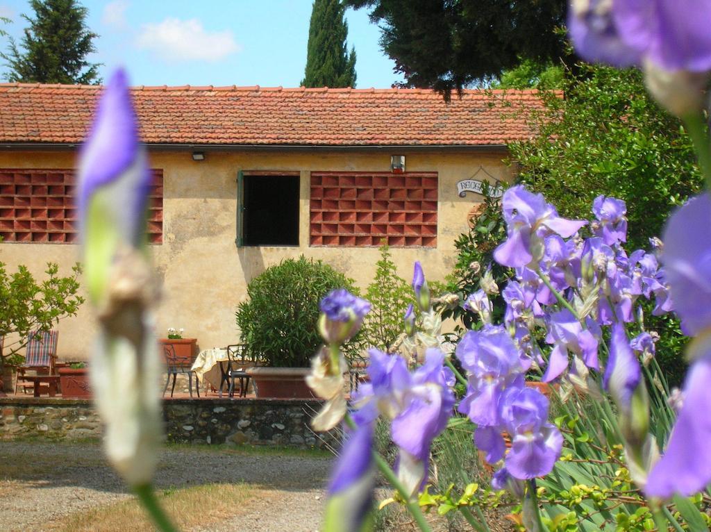 Agriturismo Le Pianore Монтеспертоли Екстериор снимка